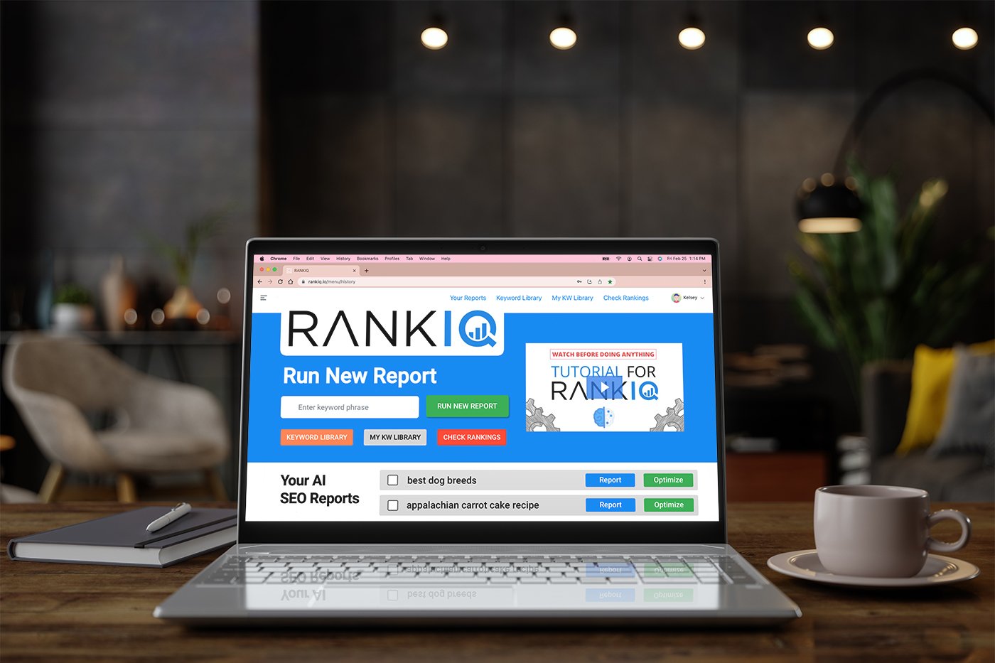 Rankiq Review