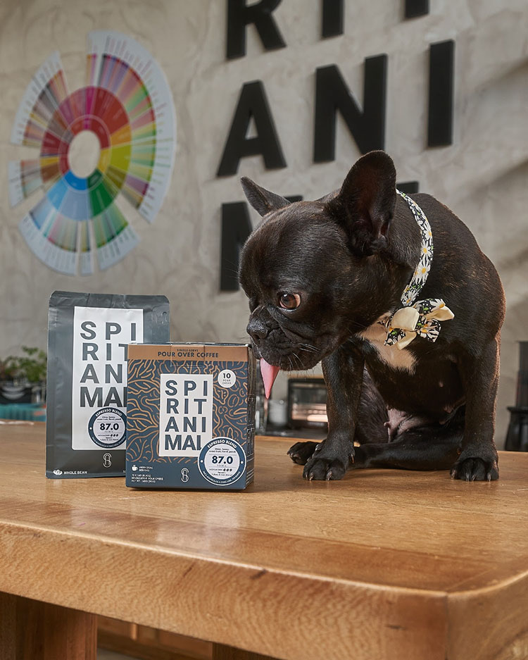 Spirit-Animal-Coffee-Espresso-Roast-2 Spirit Animal Coffee Espresso Roast 2