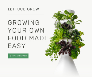Lettuce_Grow_300_250 Lettuce Grow 300 250
